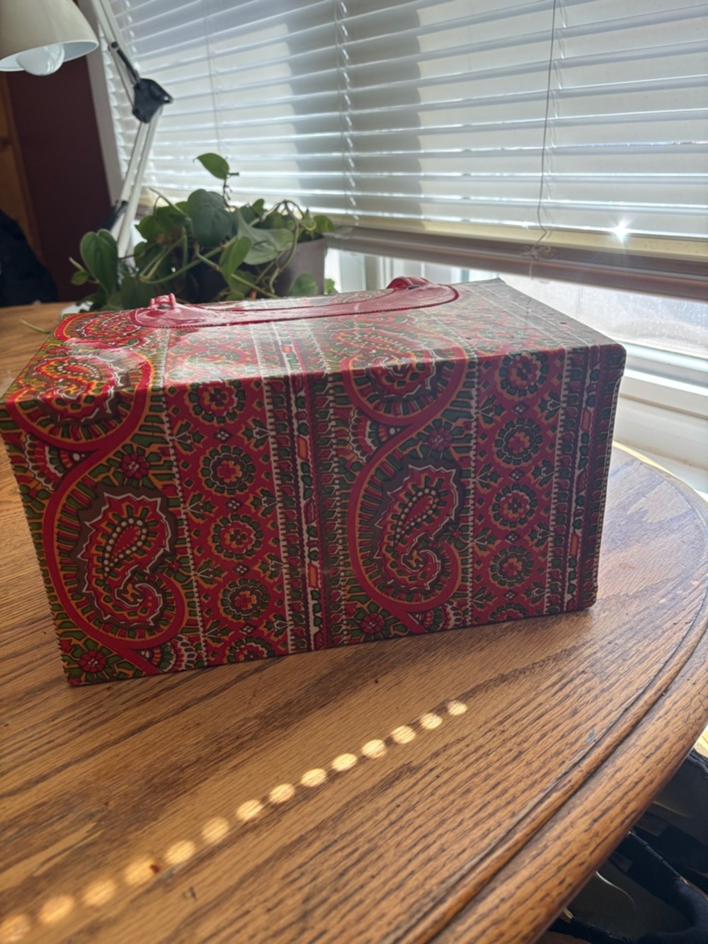 Vintage Red Paisley vinyl Case with Top Handle - Picture 8 of 17